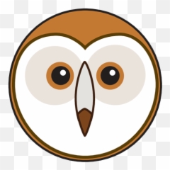 Animaru - Cartoon Owl Face Png,Barn Owl Png