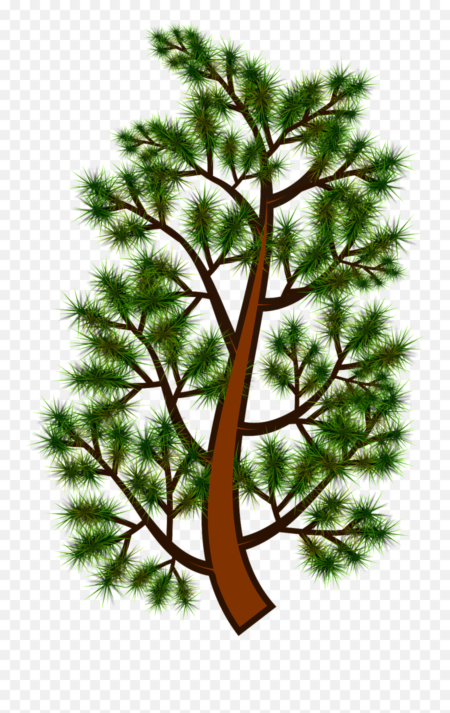 Pine Tree Branch 06052016 1 Clipart - Tallo Del Pino Png,Pine Tree Branch Png