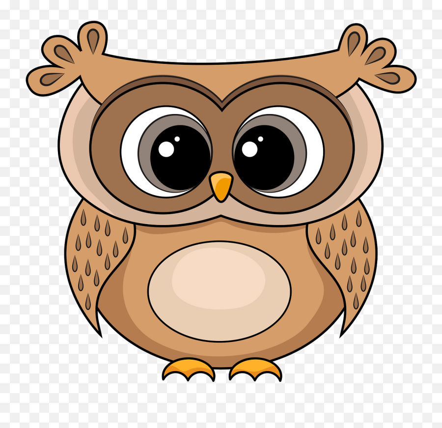 Free Cartoon Owl Clipart Download Clip Art - Cartoon Png,Owl Clipart Png