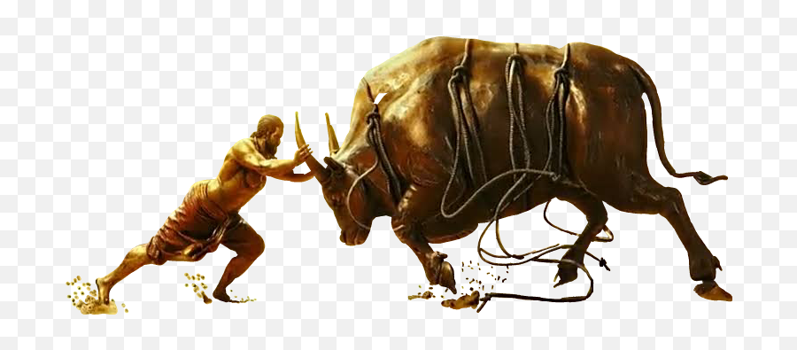 Download Hd 3 - Water Buffalo Transparent Png Image Bahubali Buffalo Png,Buffalo Png