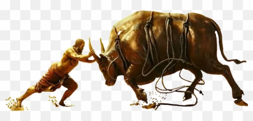Download Hd 3 - Water Buffalo Transparent Png Image Bahubali Buffalo Png,Buffalo Png