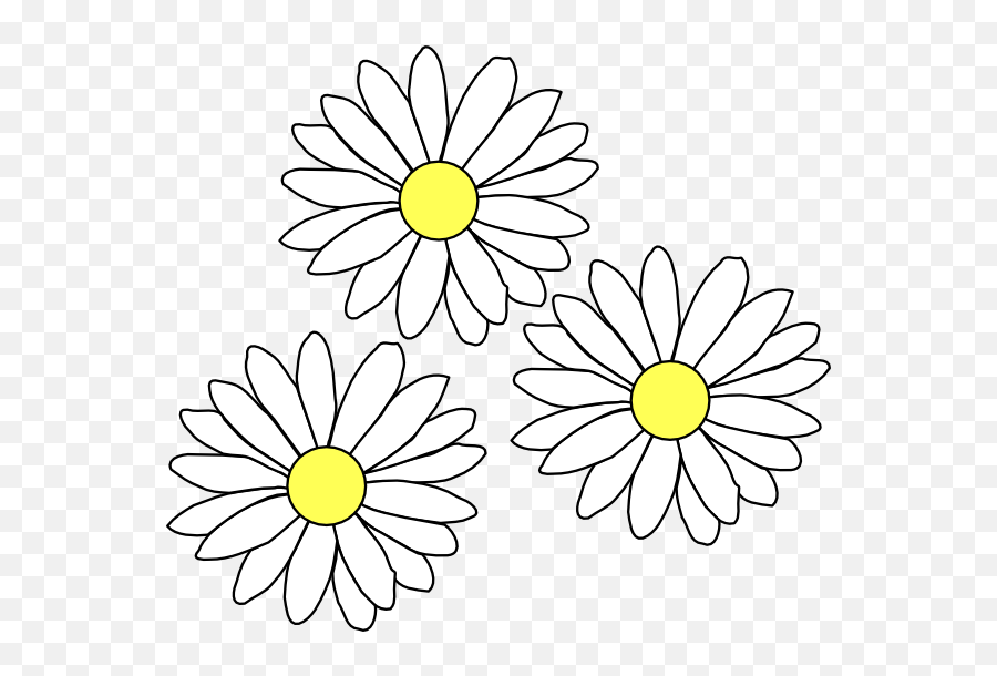 3 Daisies Png 900px Large Size - Flower Outline,Daisies Png