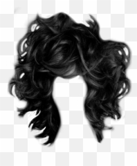 Png Wildhair Wig Hair Burnett - Wild Hair Png,Disguise Png