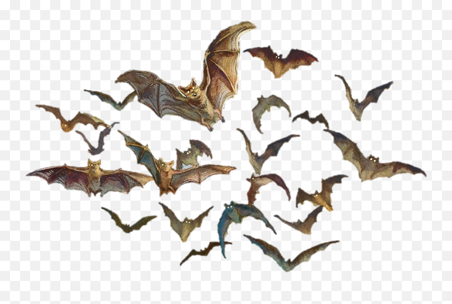 Download Dnd 5e Swarm Of Bats Hd Png - Uokplrs Bat Swarm Fantasy Art,Bats Transparent