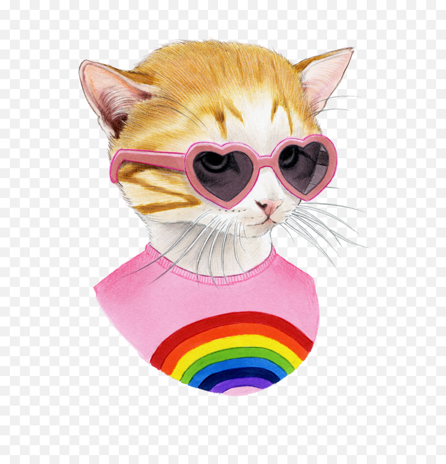 Rainbow Kitten - Rainbow Kitten Surprise Fever Pitch Png,Kitten Transparent