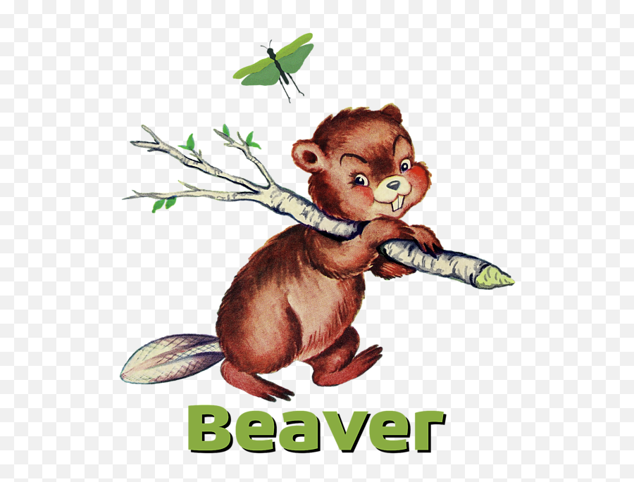 Cute Baby Beaver Pattern Long Sleeve T - Shirt Cuteness Png,Beaver Transparent