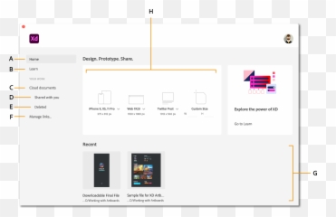 Adobe Xd User Guide - Vertical Png,Xd Png