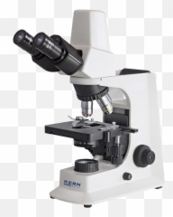 Binocular Microscope Png Free Image - Microscópio Nikon Eclipse E200,Microscope Png