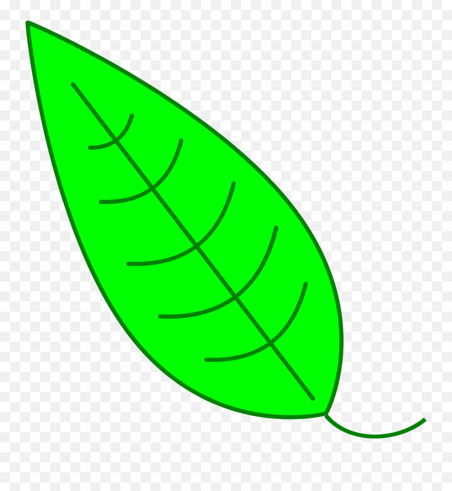 Green Simple Leaf Clipart - Simple Big Leaf Drawing Png,Leaf Clipart Png