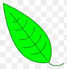 Green Simple Leaf Clipart - Simple Big Leaf Drawing png
