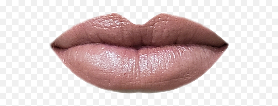 Rosewood Lipstick U2014 Just Heavenly Png Transparent