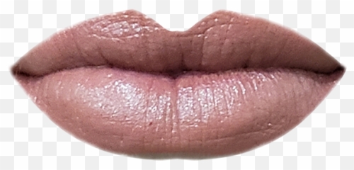 Rosewood Lipstick U2014 Just Heavenly Png