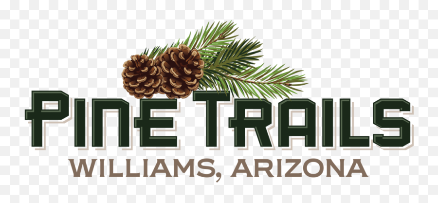 Pine Trails Williams Arizona New Homes Png Trail Life Logo