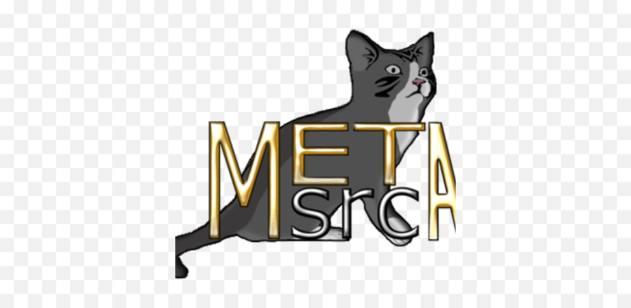 Metasrc - Metasrc Logo Png,Malphite 10 Year Icon