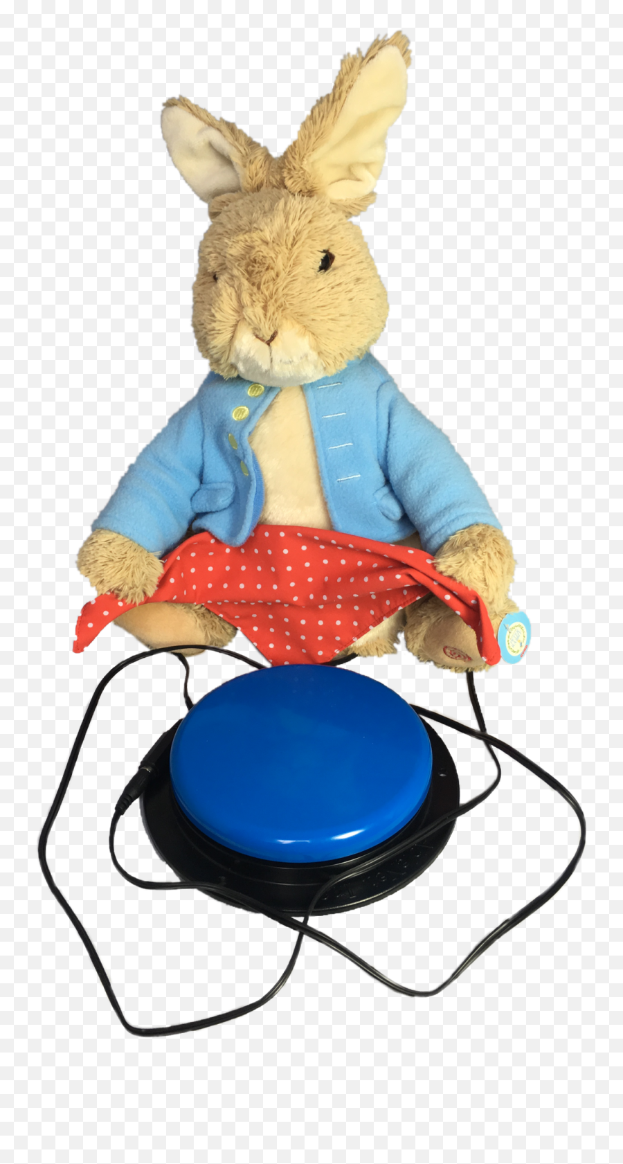 Peek A Boo Peter Rabbit Inclusive Communication Essex - Sitting Png