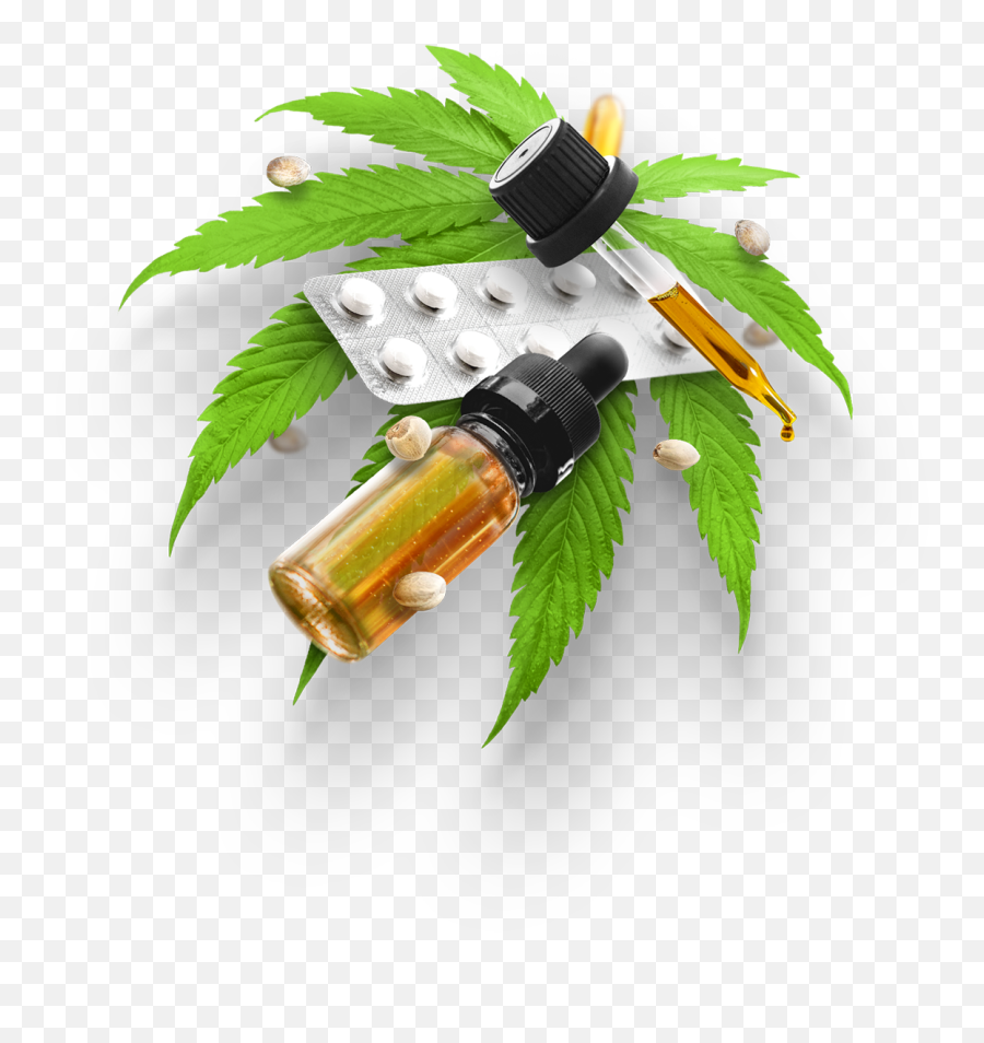 Cbd Oil And Cannabis Information - Illustration Png,Marijuana Plant Png