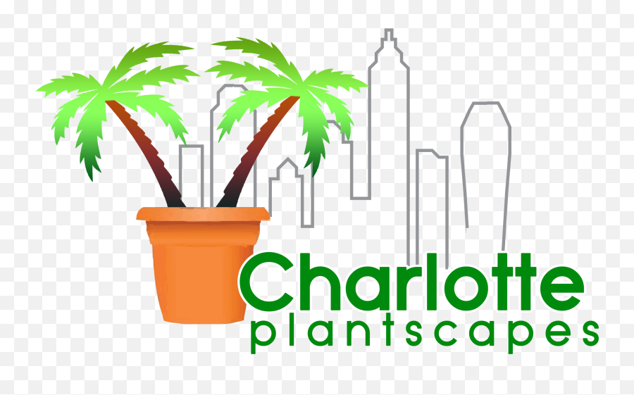 Plantscape Projects Charlotte Tropical Plants Seasonal - Vertical Png,Ferns Icon Bangalore Address