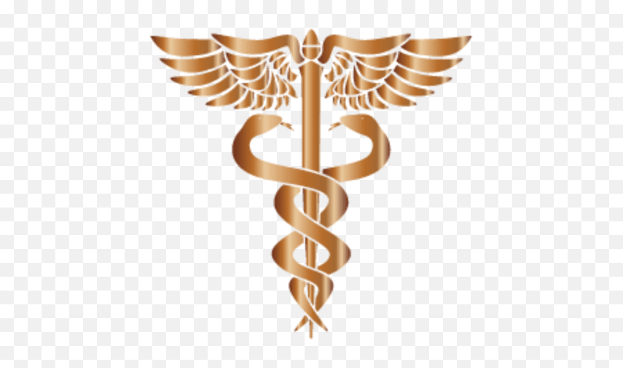 Stephen Miley Md Facep Expert Medical Witness - Caduceus Logo Vector Png,Md Icon