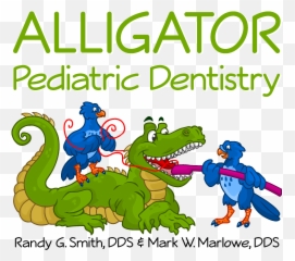 Kids Dentist In Idaho Falls Id Alligator Pediatric Dentistry - Mark Malrowe png