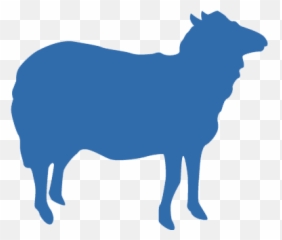 Sheep - Png23181 U2013 Mahbobau0027s Promise Cattle,Sheep Png