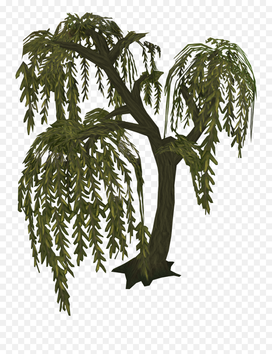 Willow - Willow Tree Runescape Png,Willow Tree Png