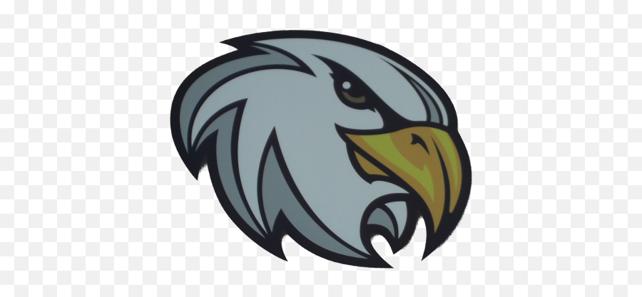Eagle Head Mascot South Fork Elementary - Cartoon Png,Eagle Head Logo