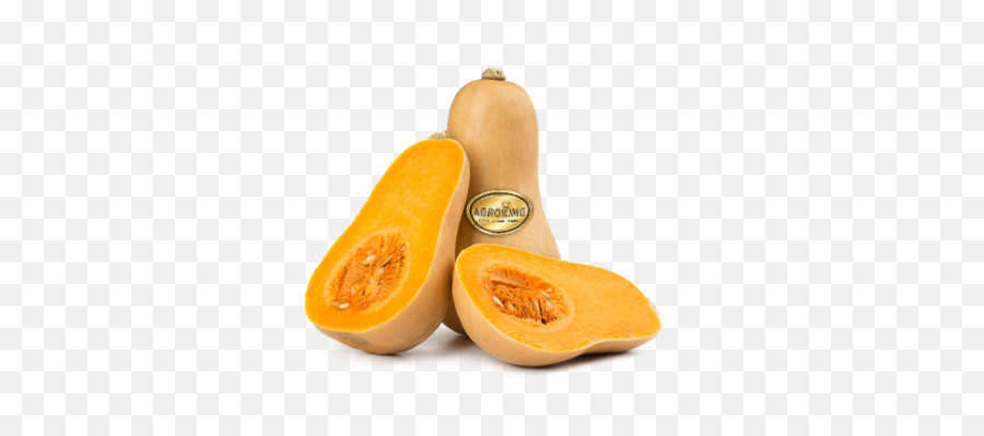 Butternut Squash - Butternut Pumpkin Png,Zucchini Png