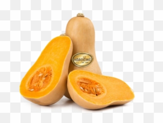 Butternut Squash - Butternut Pumpkin Png,Zucchini Png