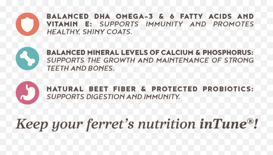 Intune Ferret U2014 Higgins Premium Pet Foods - Document Png,Ferret Png