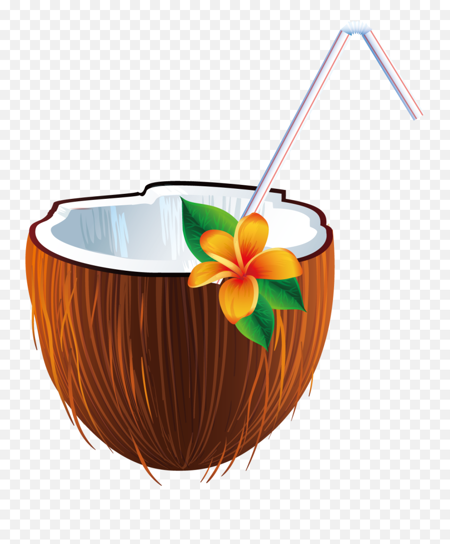 Coconut Drink Png Picture - Coconut Drink Png,Pina Colada Png