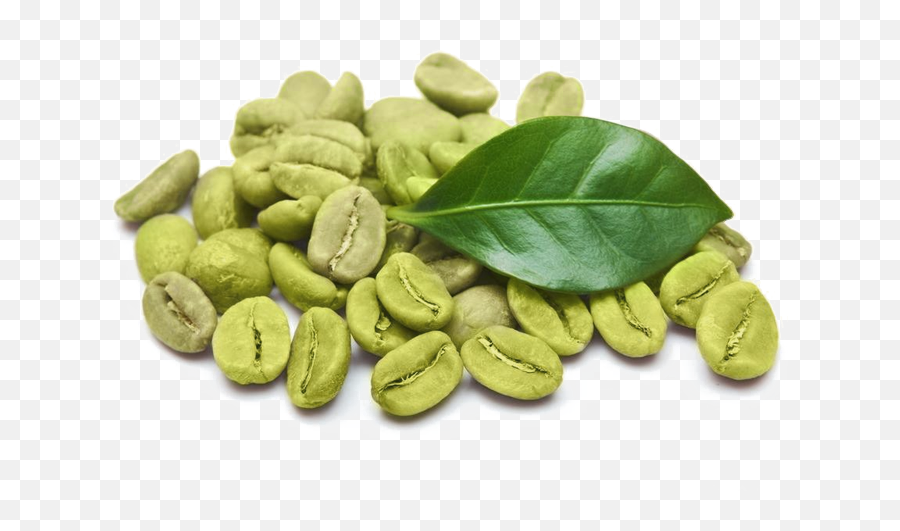 Green Coffee Bean Extract - White Background White Coffee Bean Png,Coffee Bean Transparent