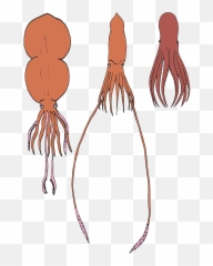 Download Octopus Giant Squid Tentacles - Giant Octopus Vs Giant Squid Png,Tentacles Png