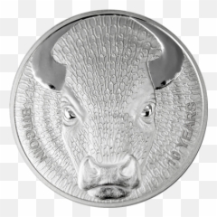 Binary Bull 1 Oz Proof Silver Coin Mbtc Sol Noctis 2019 - Coin Png,Noctis Png