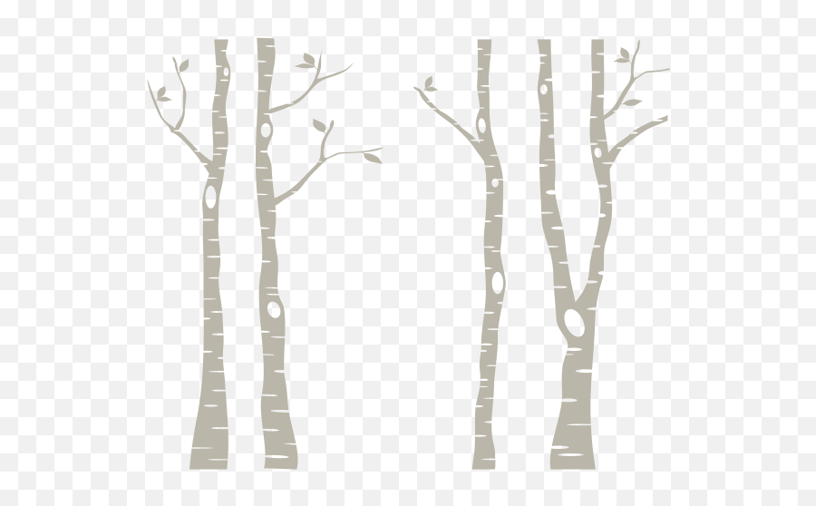 Leafless Tree Png - Transparent Birch Tree Clipart,Birch Tree Png