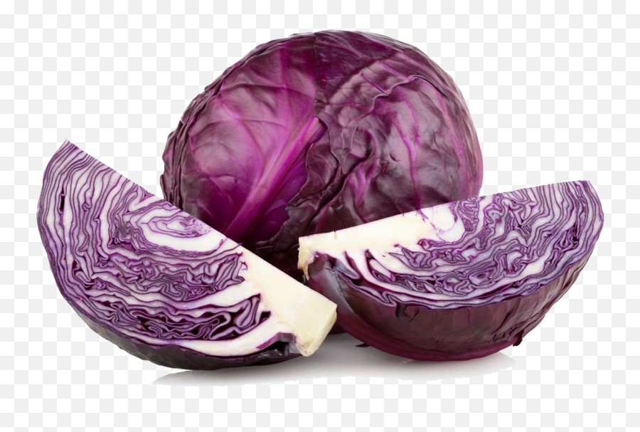 Purple Cabbage Png High - Red Cabbage Png,Cabbage Transparent Background