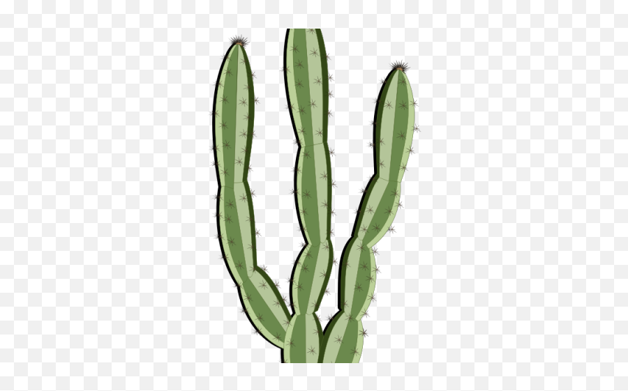 Plants Clipart Cacti - Mandacaru Gif Png,Cactus Transparent