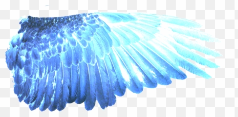 Download Hd Blue Wings Png - Eagle Transparent Png Image Blue Wings Transparent Png,Fire Wings Png