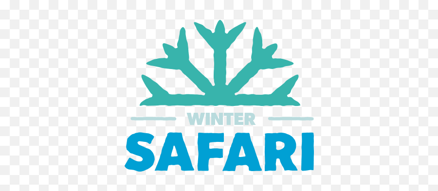 Winter Safari Update - Denver Zoo Starbucks Card India Png,Safari Png