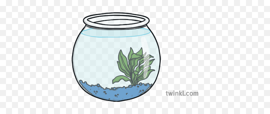 Empty Fishbowl Pets Fish Goldfish Ks1 Illustration - Twinkl Aquarium Decor Png,Fishbowl Png