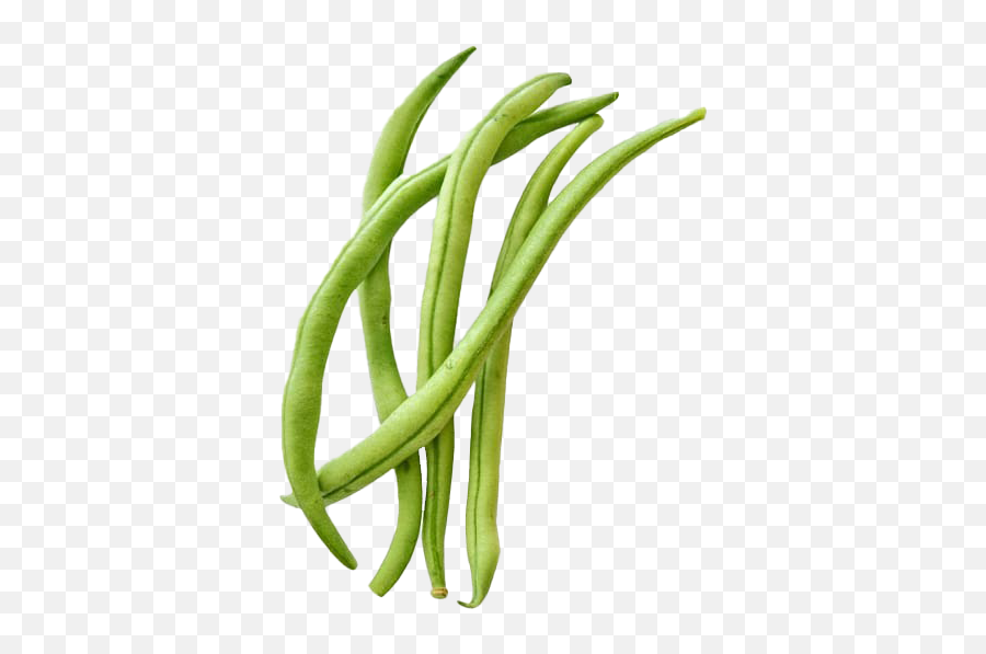 Green Beans Png Free Image - Transparent Background Green Beans Png,Beans Png