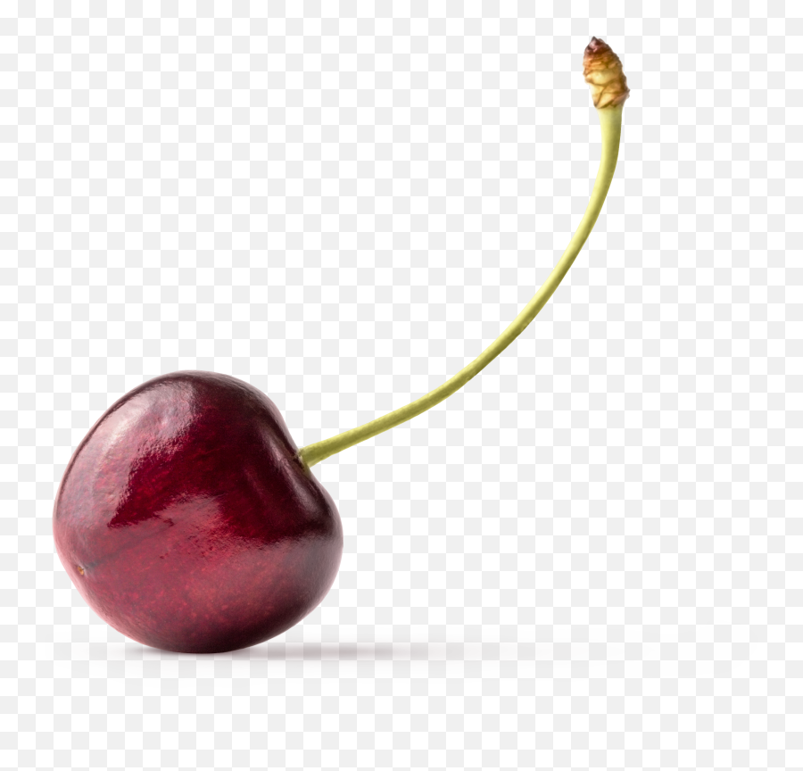 Cherry Graphic Asset - Black Cherry Png,Cherry Transparent Background