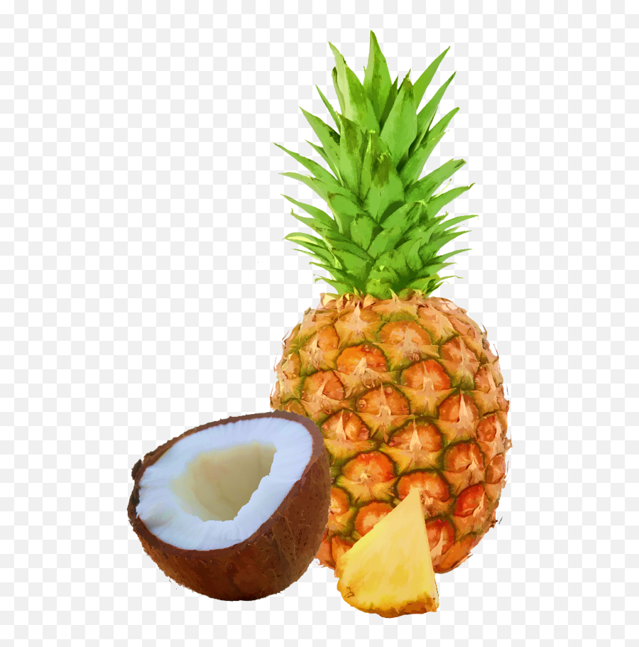 Coconut Clipart Pineapple - Pineapple And Coconut Clipart Png,Coconut Transparent
