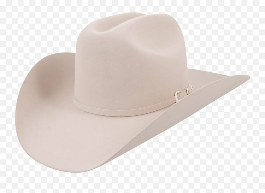 Stetson Hats - Stetson Hat Women Cowboy Png,Jotaro Hat Transparent