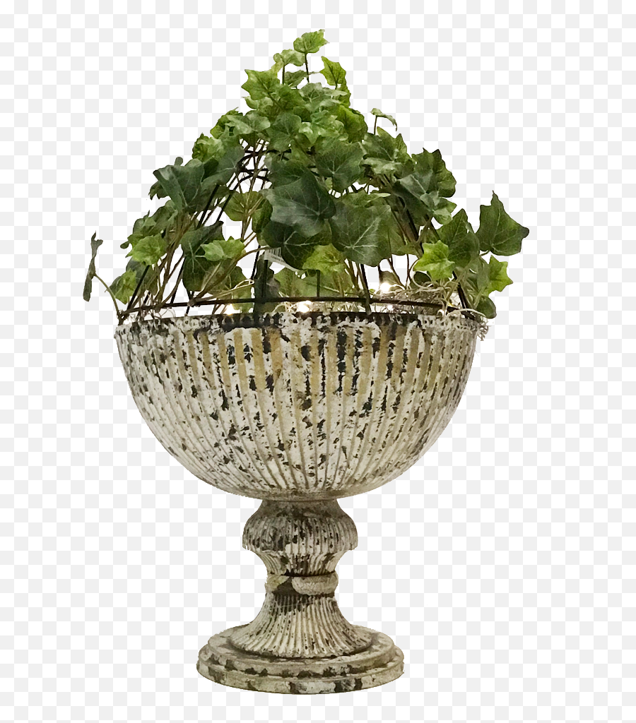 Trees N Trends Diy Planter - Tree With Vase Png,Hanging Ivy Png