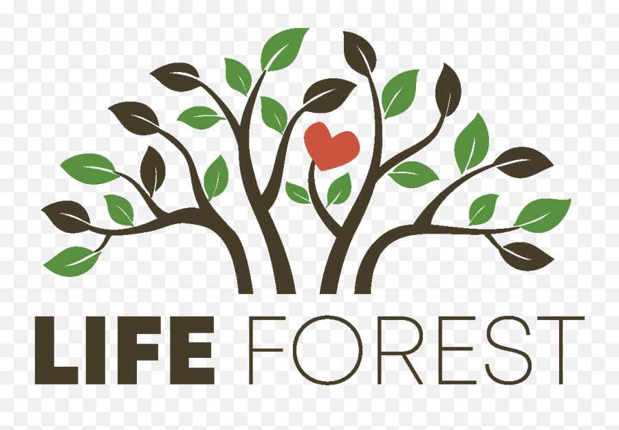 Life Forest Trail Committee - Tree With Roots Graphic Png,Trail Life Logo