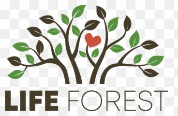 Life Forest Trail Committee - Tree With Roots Graphic Png,Trail Life Logo