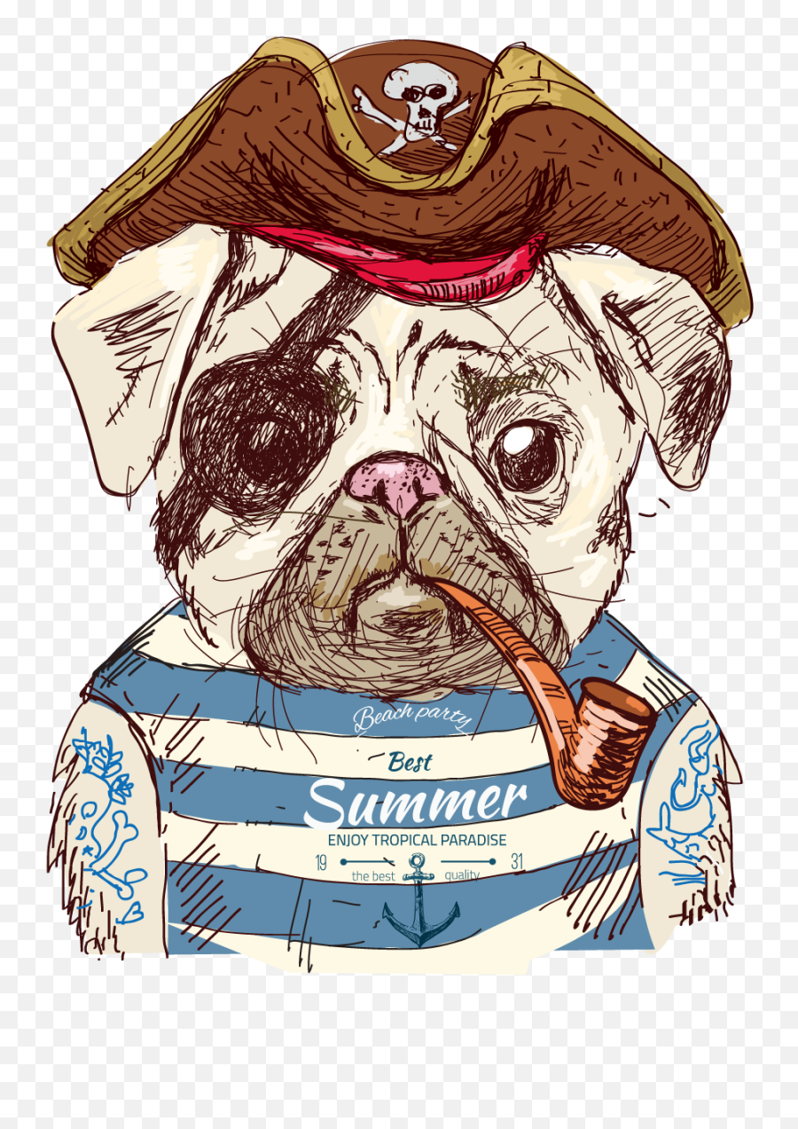 Download Cute Pug Dog Illustration Pirate Drawing Clipart - Transparent Pug Draw Png,Pug Transparent Background