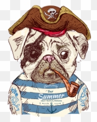 Download Cute Pug Dog Illustration Pirate Drawing Clipart - Transparent Pug Draw Png,Pug Transparent Background
