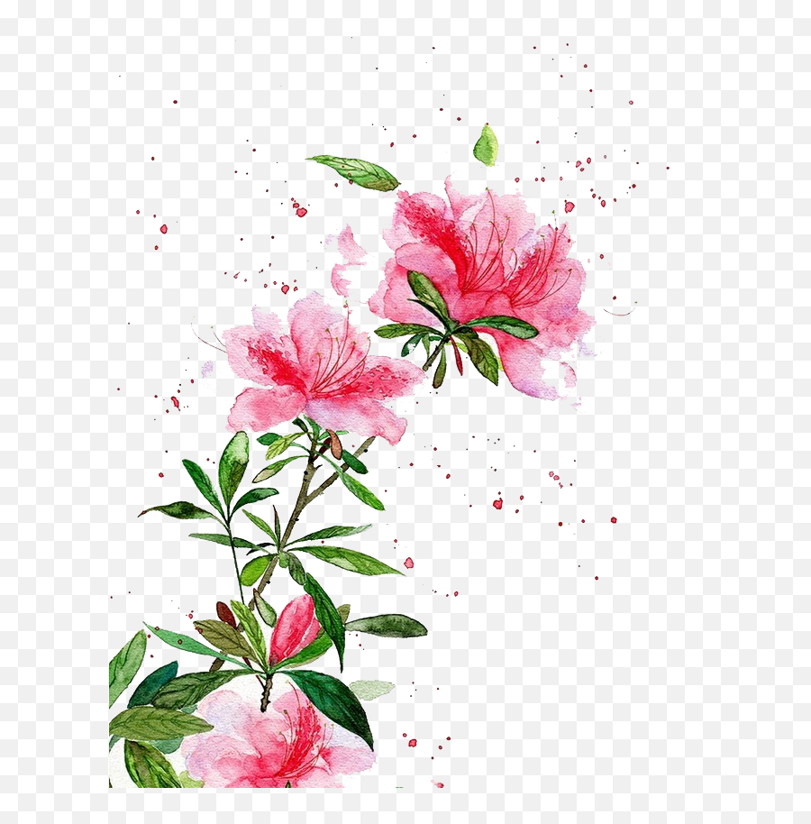 Transparent Chinese Flower Png - Chinese Flower Graphic Chinese Flower Watercolor Painting,Chinese Flower Icon