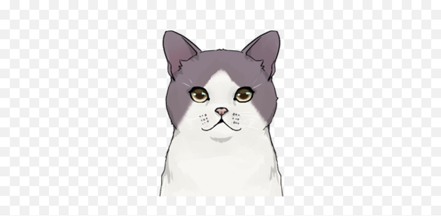 Nelson Genshin Impact Wiki Fandom - Gray Snowshoe Cat Genshin Png,Japanese Cat Icon